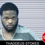 Thaddeus Stokes mugshot
