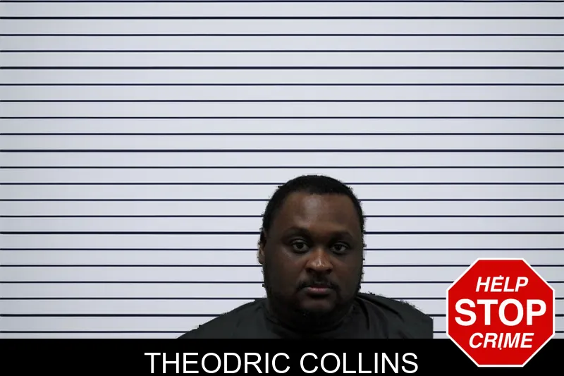 Theodric Collins mugshot