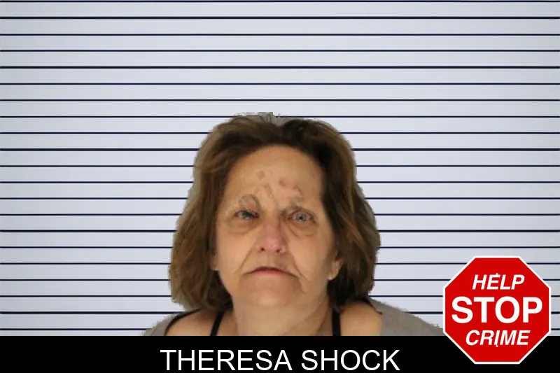 Theresa Shock mugshot
