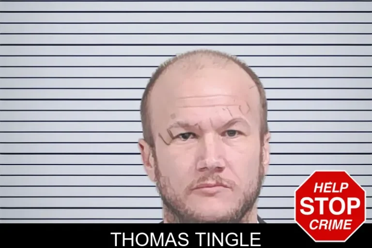 Thomas Tingle