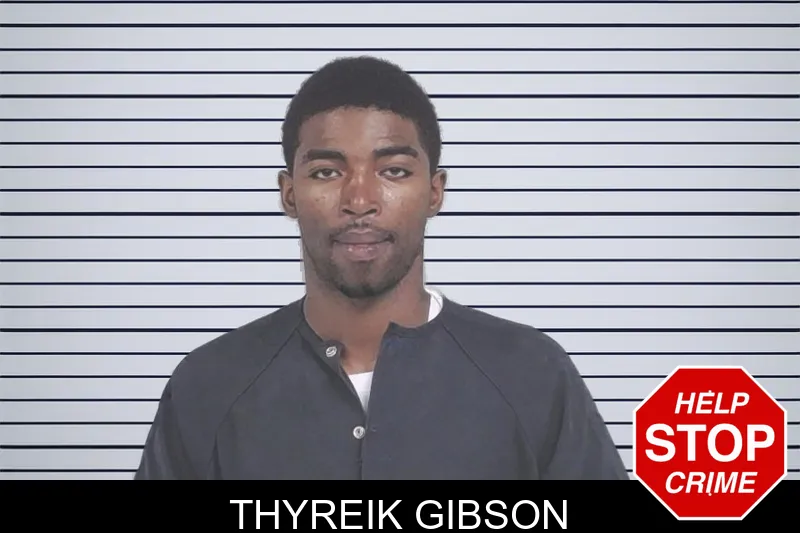 Thyreik Gibson mugshot – Lowndes County , Georgia Thyreik Gibson mugshot