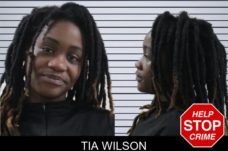 Tia Wilson mugshot