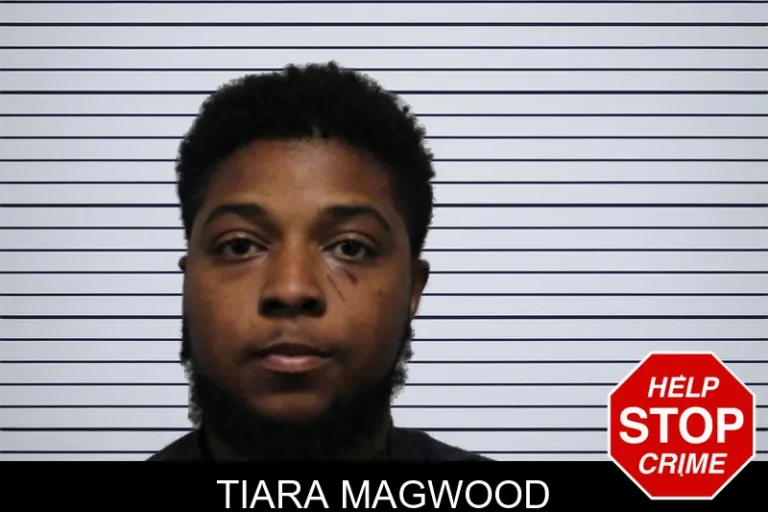 Tiara Magwood mugshot – Habersham County , Georgia Tiara Magwood