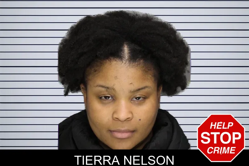 Tierra Nelson mugshot