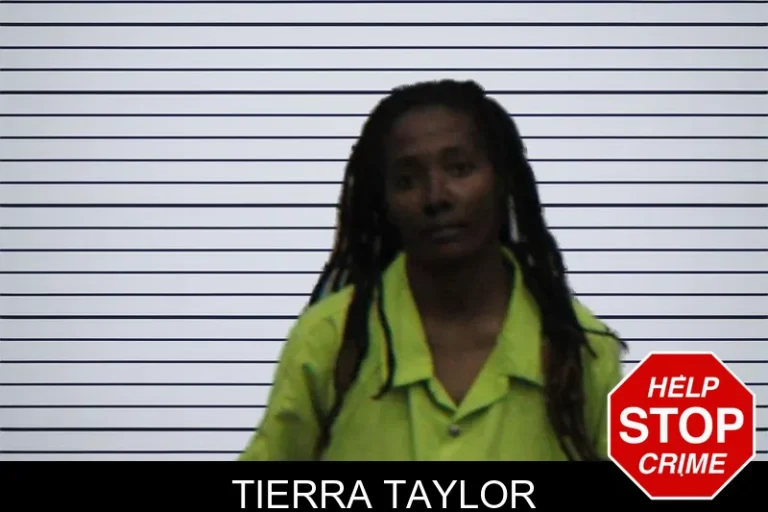 Tierra Taylor mugshot β Turner County , Georgia Tierra Taylor