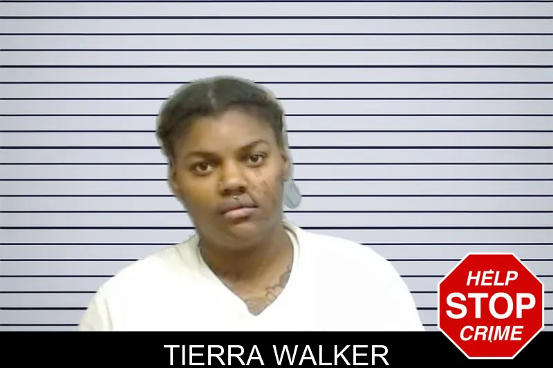 Tierra Walker mugshot