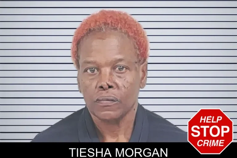 Tiesha Morgan mugshot – Lowndes County , Georgia Tiesha Morgan