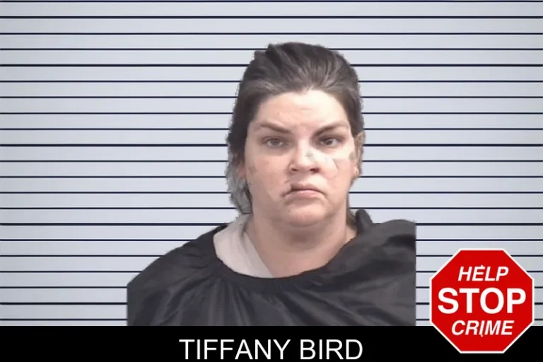 Tiffany Bird mugshot – Spalding County , Georgia Tiffany Bird