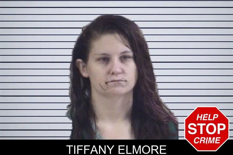 Tiffany Elmore mugshot