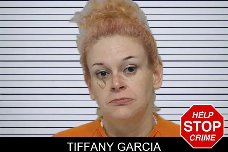 Tiffany Garcia mugshot – Bibb County , Georgia Tiffany Garcia