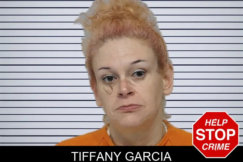 Tiffany Garcia mugshot – Bibb County , Georgia Tiffany Garcia mugshot