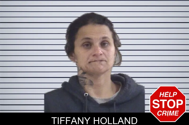 Tiffany Holland mugshot