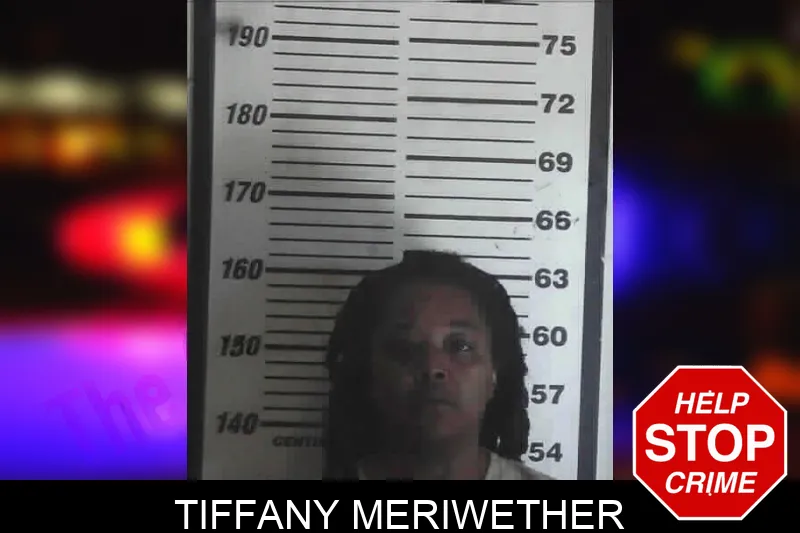 Tiffany Meriwether mugshot