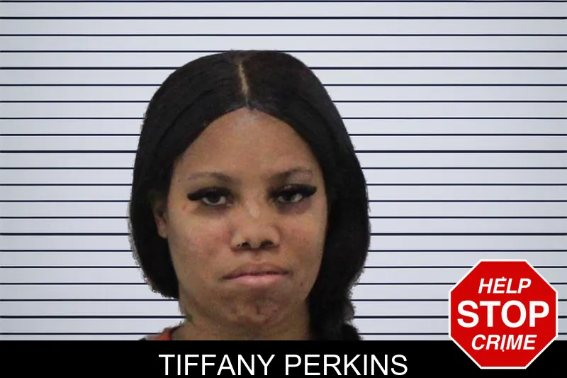 Tiffany Perkins mugshot