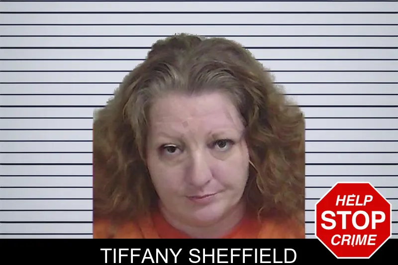 Tiffany Sheffield mugshot