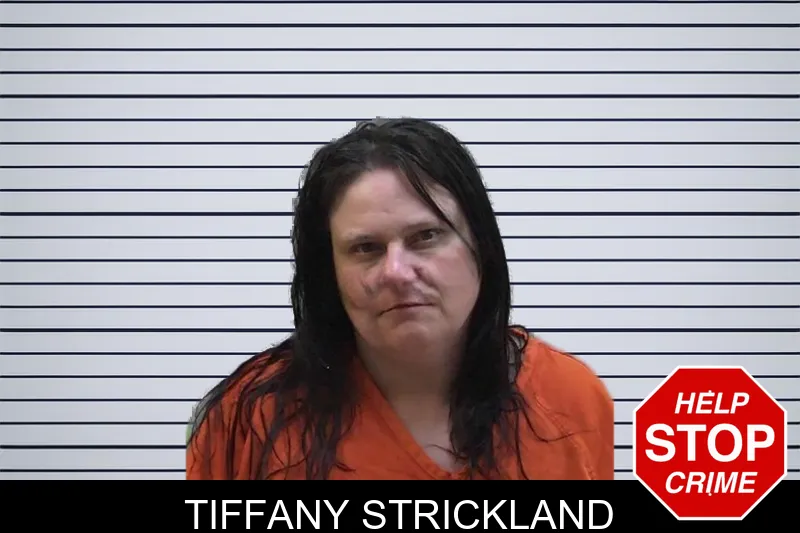 Tiffany Strickland mugshot