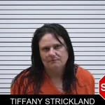 Tiffany Strickland mugshot