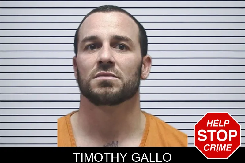 Timothy Gallo mugshot – Cherokee County , Georgia Timothy Gallo mugshot