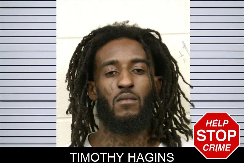 Timothy Hagins mugshot