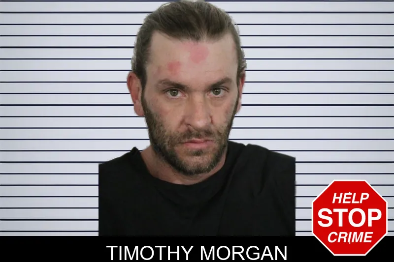 Timothy Morgan mugshot