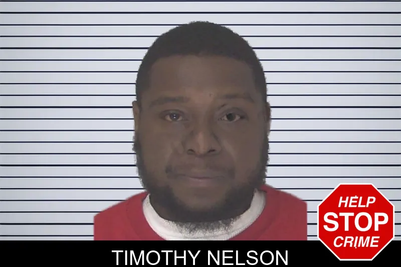 Timothy Nelson mugshot