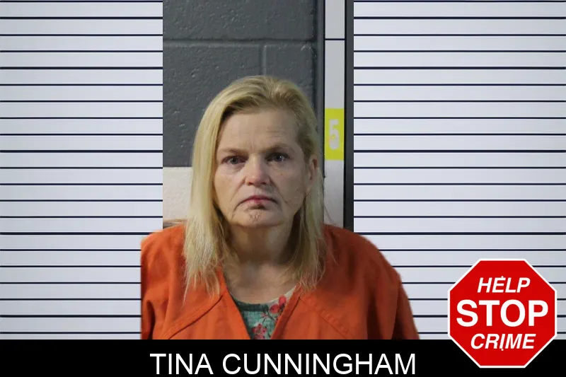 Tina Cunningham mugshot – Lumpkin County , Georgia Tina Cunningham mugshot