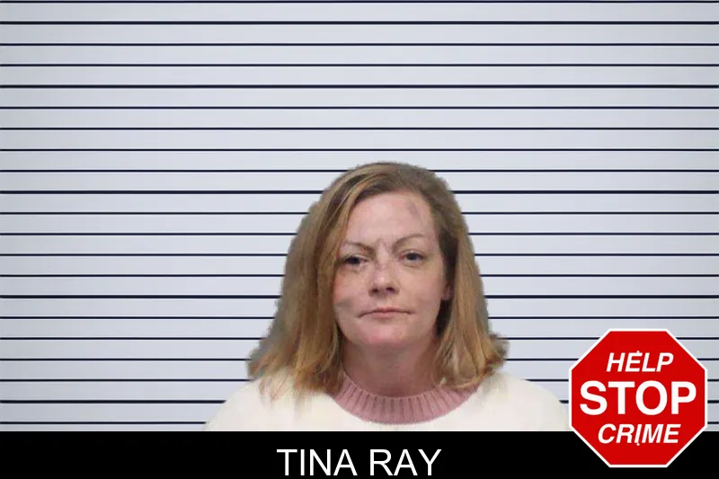 Tina Ray mugshot – White County , Georgia Tina Ray mugshot