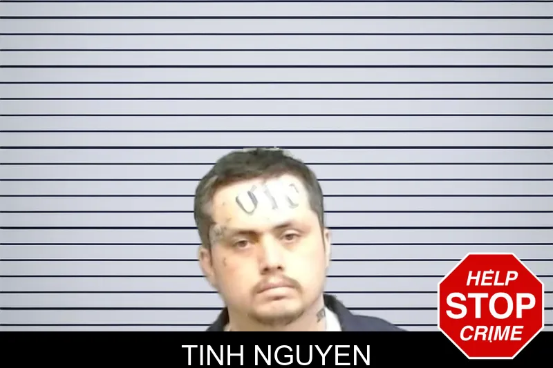 Tinh Nguyen mugshot – Fulton County , Georgia Tinh Nguyen mugshot