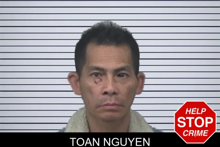 Toan Nguyen