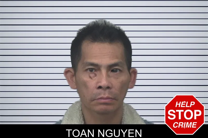 Toan Nguyen mugshot – Gwinnett County , Georgia Toan Nguyen mugshot