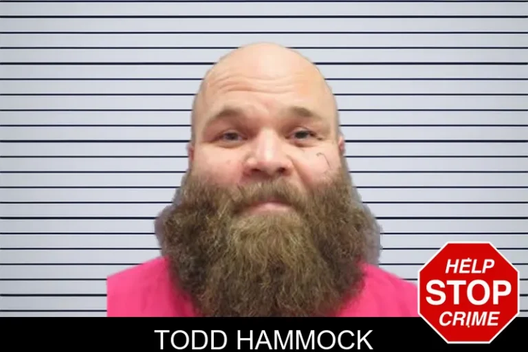 Todd Hammock
