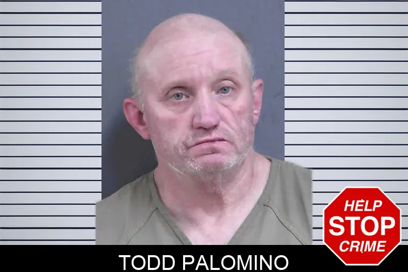 Todd Palomino mugshot