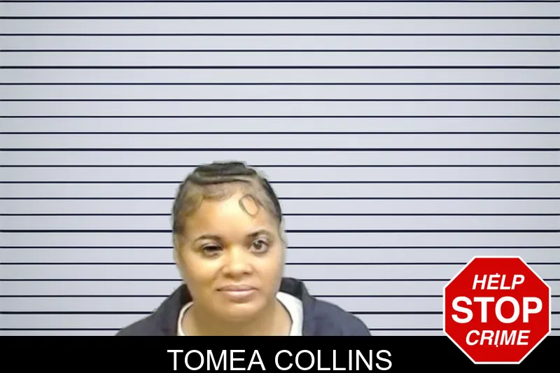 Tomea Collins mugshot