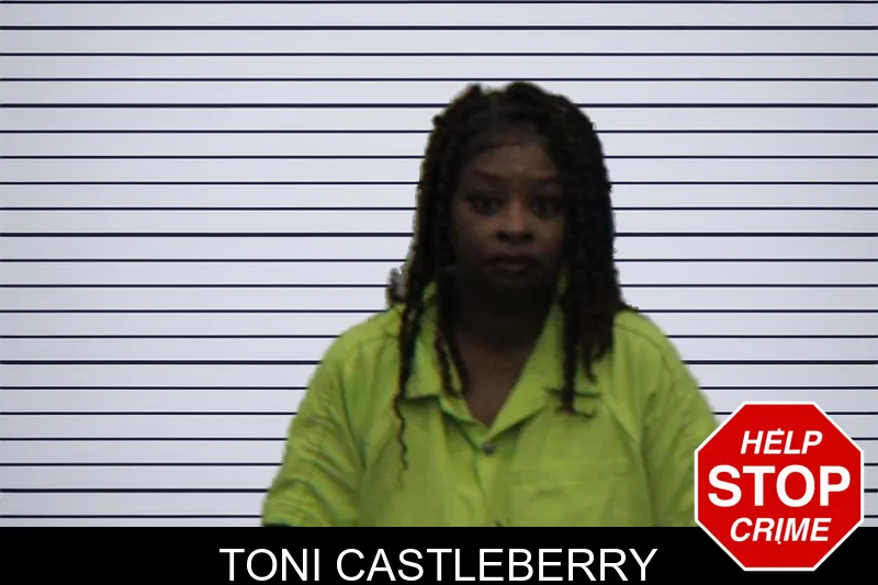 Toni Castleberry mugshot – Turner County , Georgia Toni Castleberry mugshot