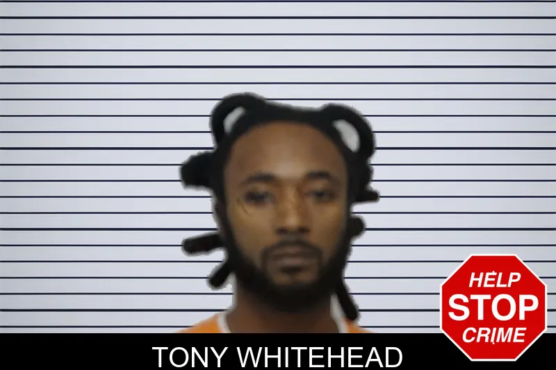 Tony Whitehead mugshot