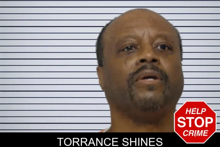Torrance Shines