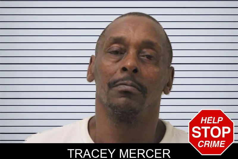 Tracey Mercer mugshot