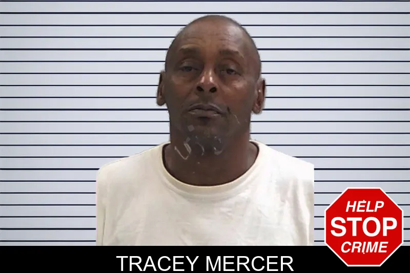 Tracey Mercer mugshot