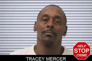 Tracey Mercer mugshot