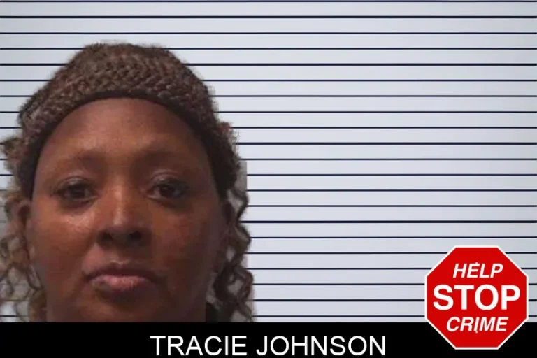 Tracie Johnson mugshot – Franklin County , Georgia Tracie Johnson