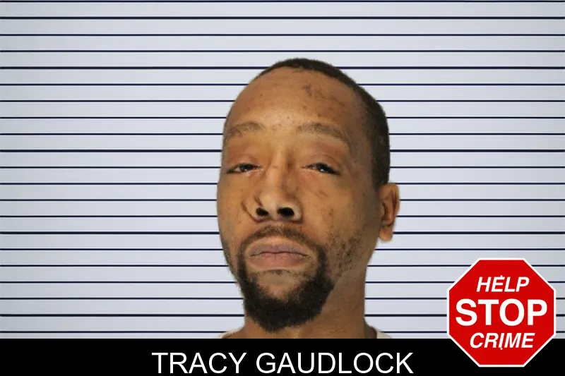 Tracy Gaudlock mugshot