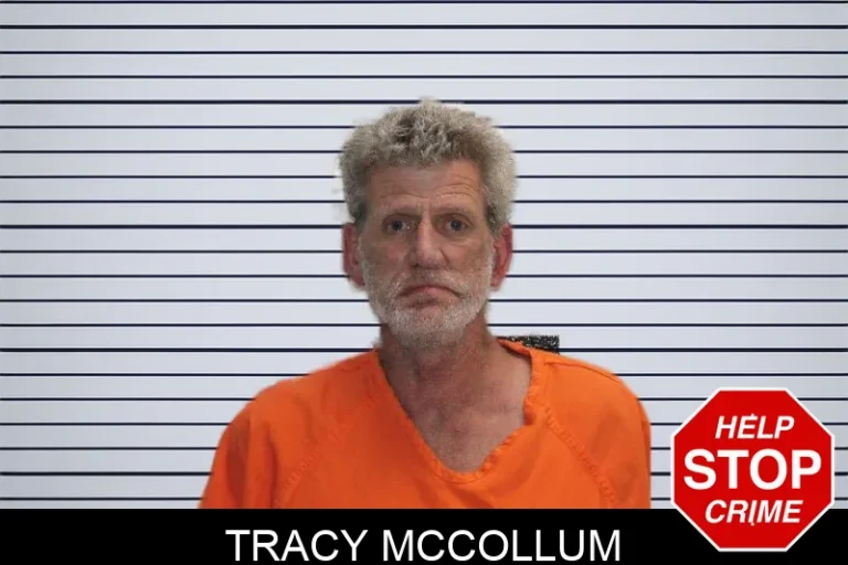 Tracy McCollum