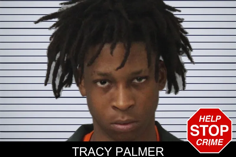 Tracy Palmer mugshot