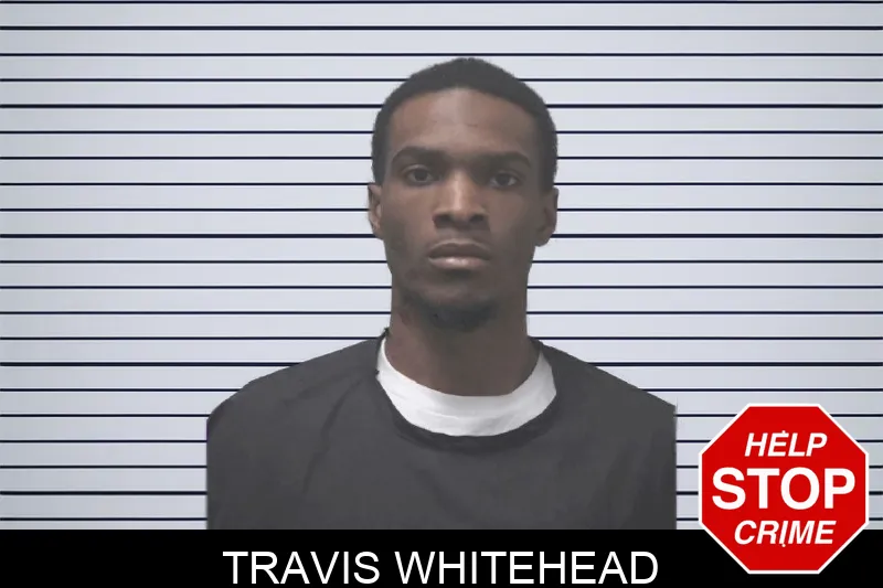 Travis Whitehead mugshot – Coweta County , Georgia Travis Whitehead mugshot