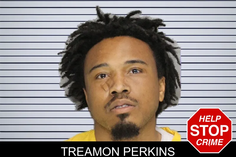 Treamon Perkins mugshot