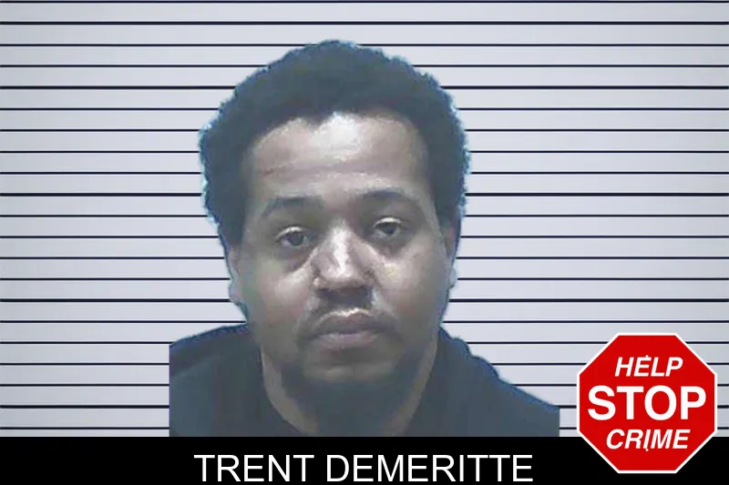 Trent Demeritte mugshot