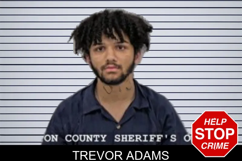 Trevor Adams mugshot