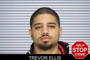 Trevor Ellis mugshot