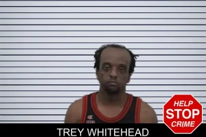 Trey Whitehead mugshot