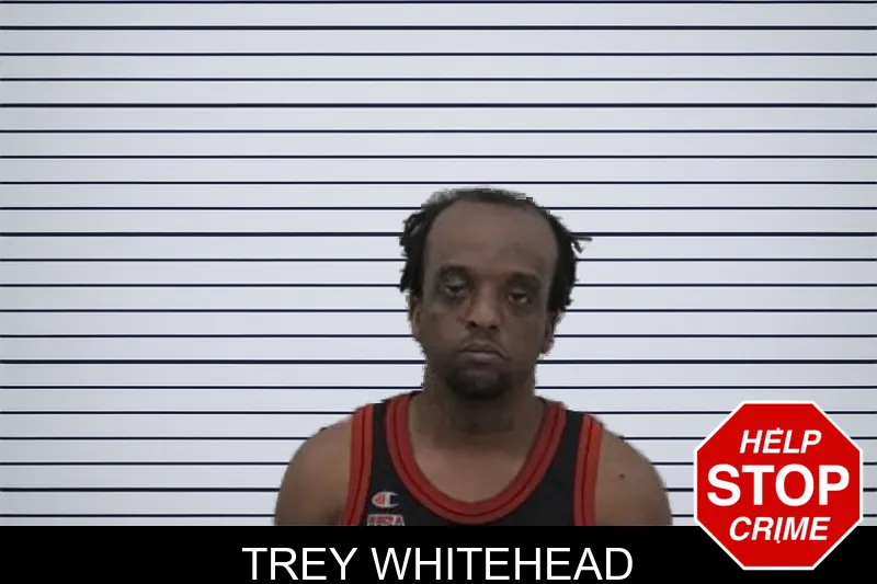 Trey Whitehead mugshot